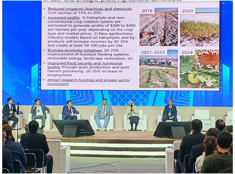 "Ўзбекэкспертиза" АЖ ходимлари "InnoWeek-2025"халқаро инновацион ғоялар ҳафталигида иштирок этдилар